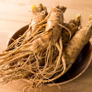 Ginseng